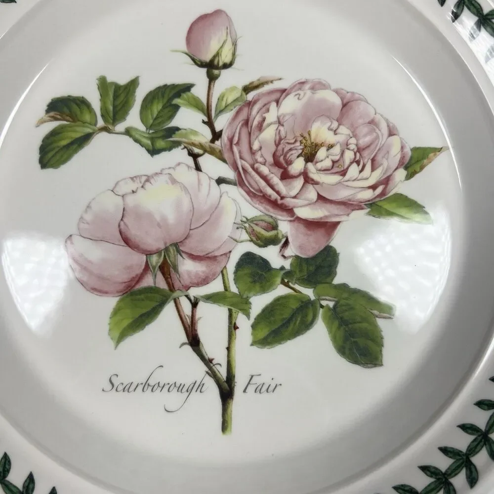 Portmeirion Retired 2005-2017 Botanic Roses 8.5